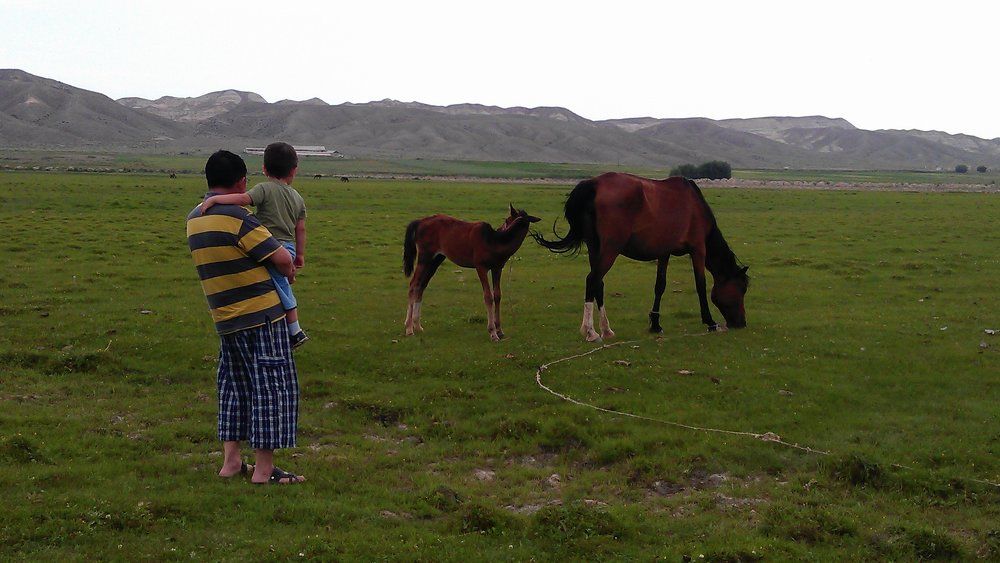 Родитель и ребенок