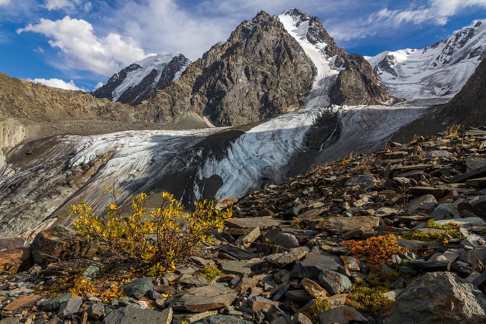 Красавица и Осень