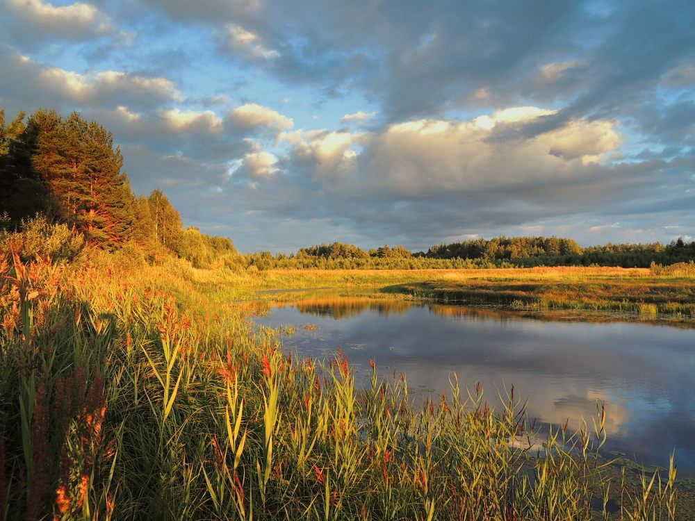 Осень золотая Тверца