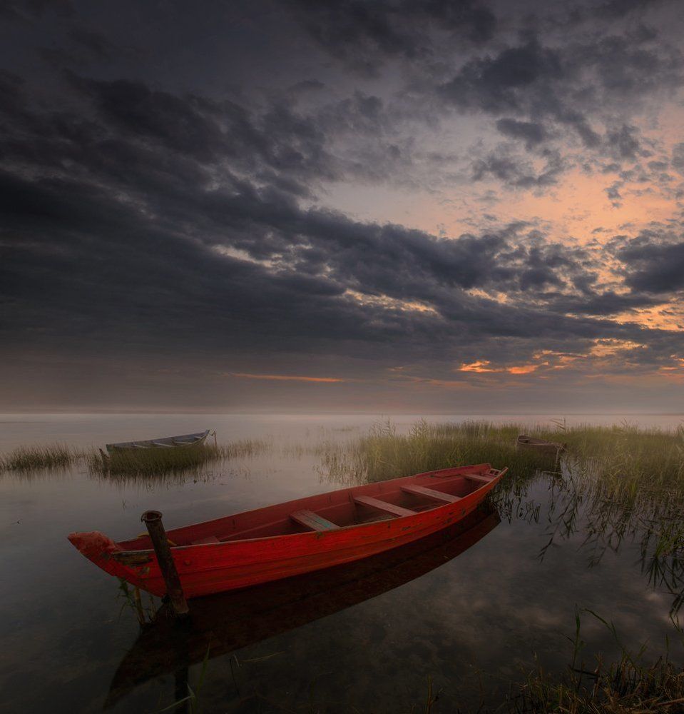 Без названия