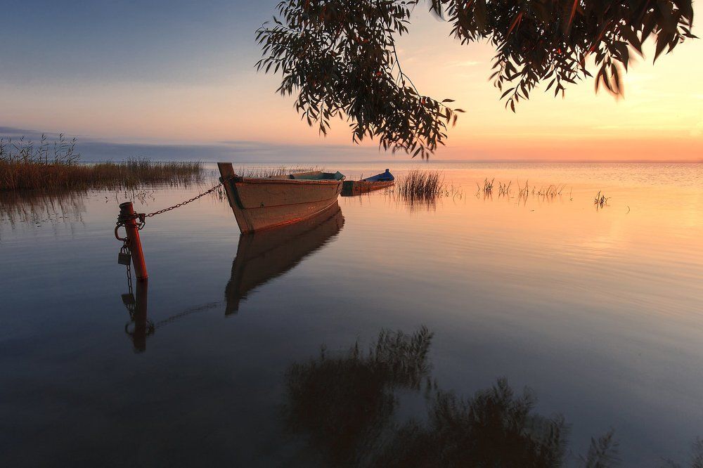 Без названия