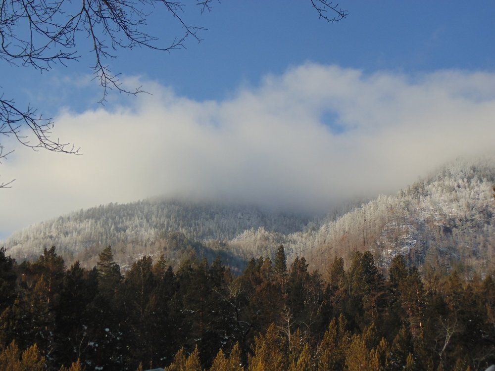 Photo #1021596
