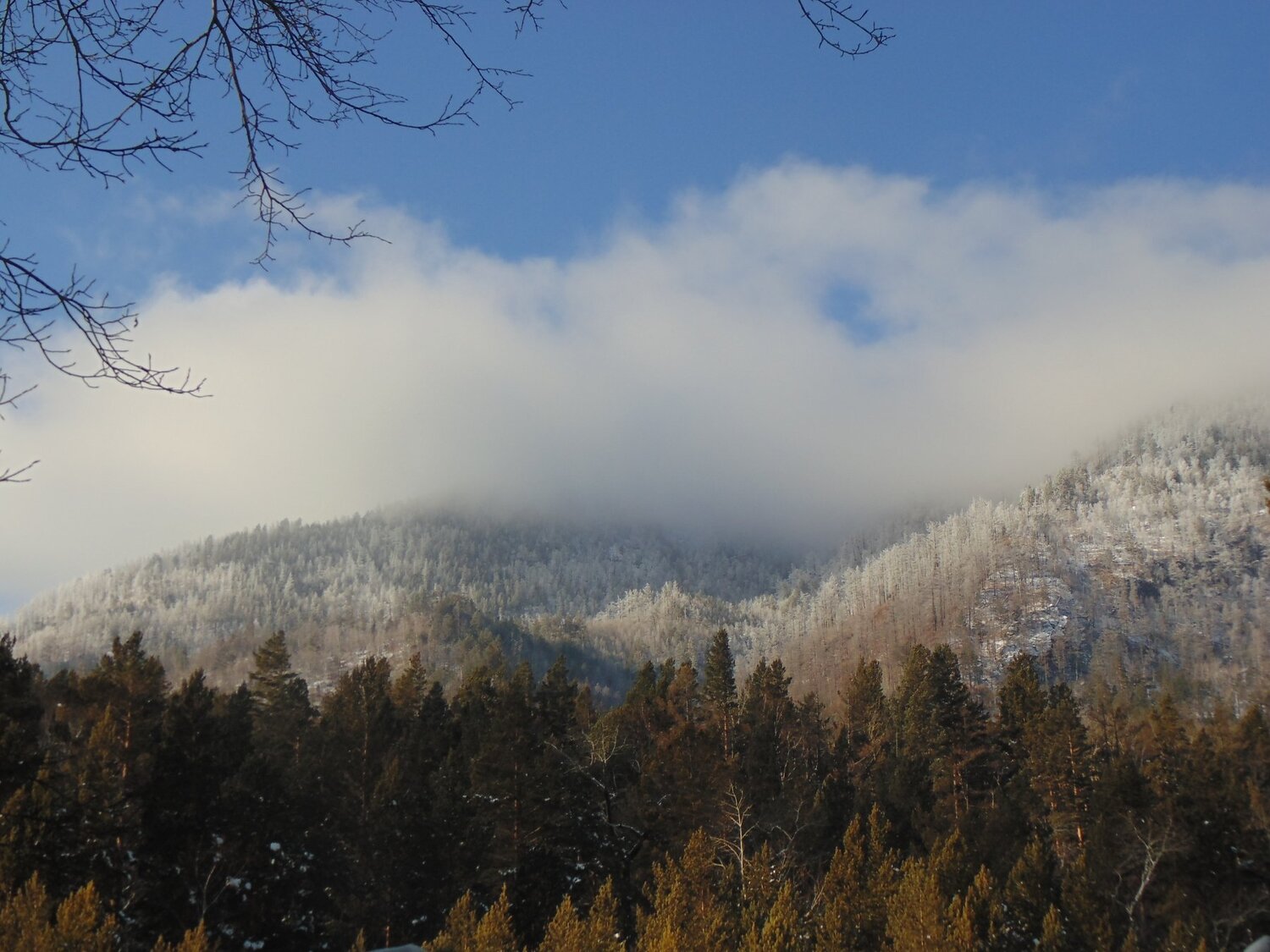 Photo #1021596