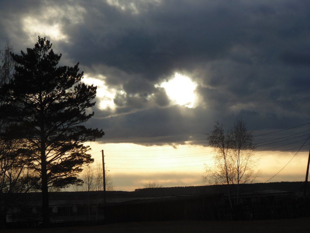 Photo #1021612
