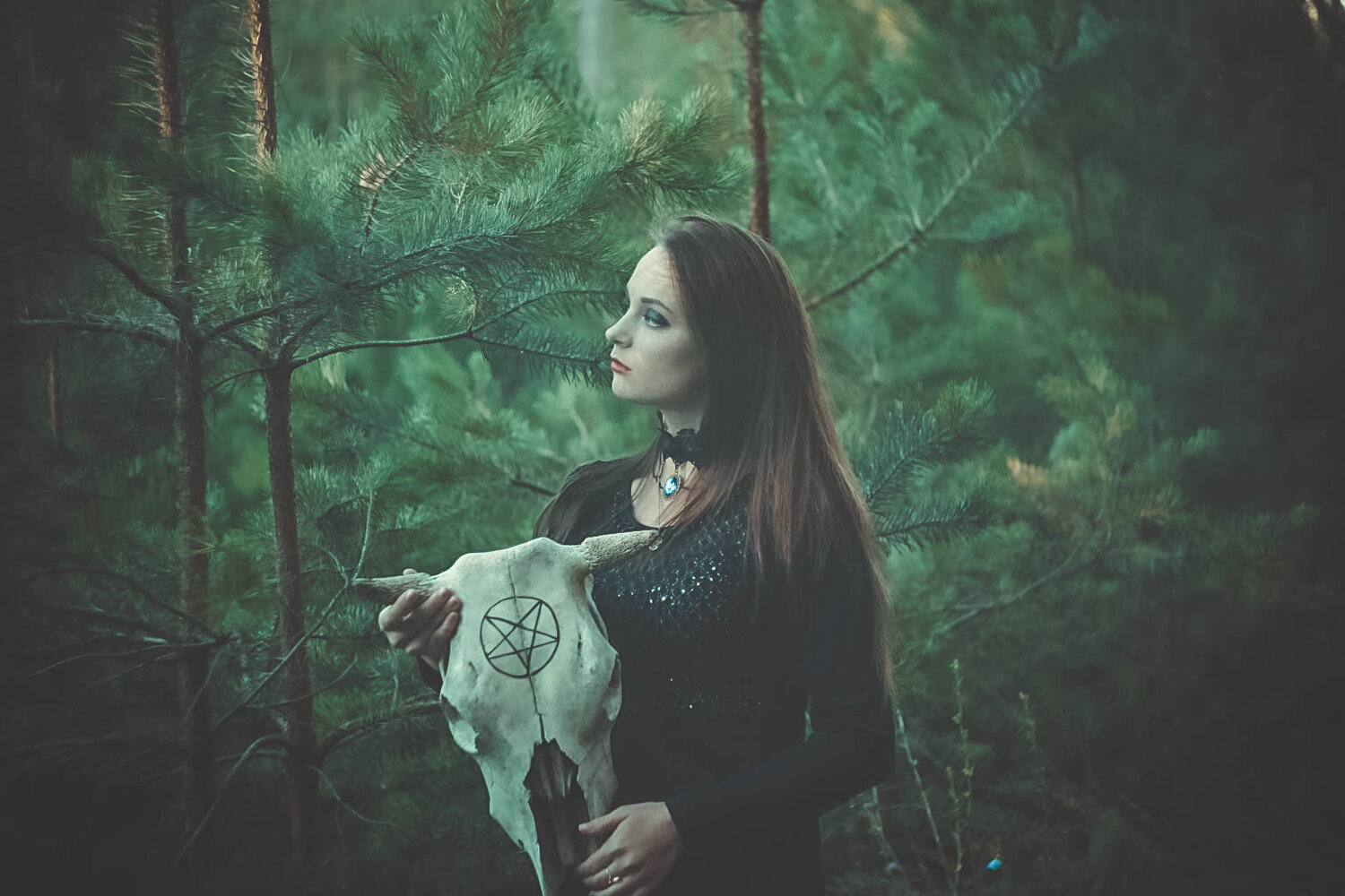 Photo #1021656