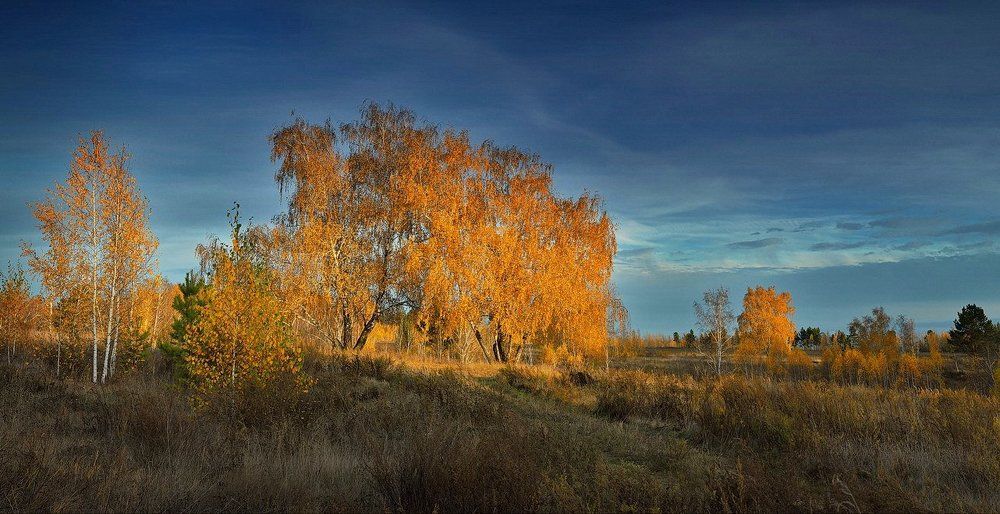Догорает осень