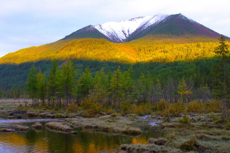 Юрий Борик, Russia