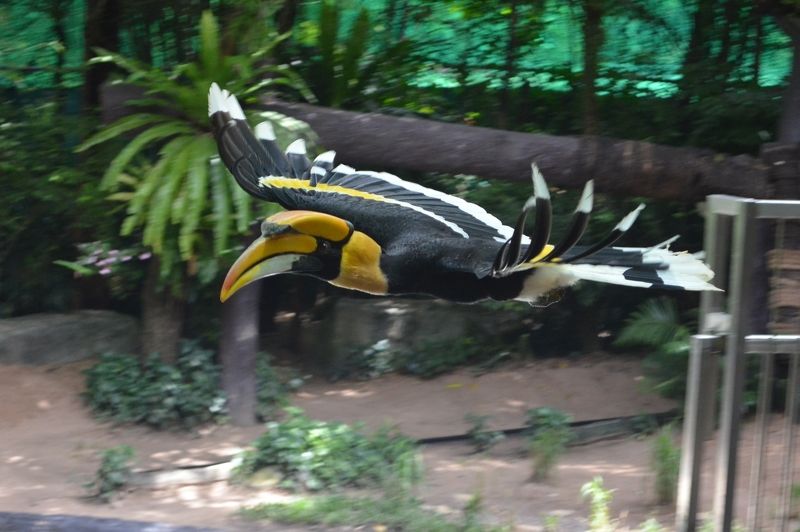 Лариса, Russia