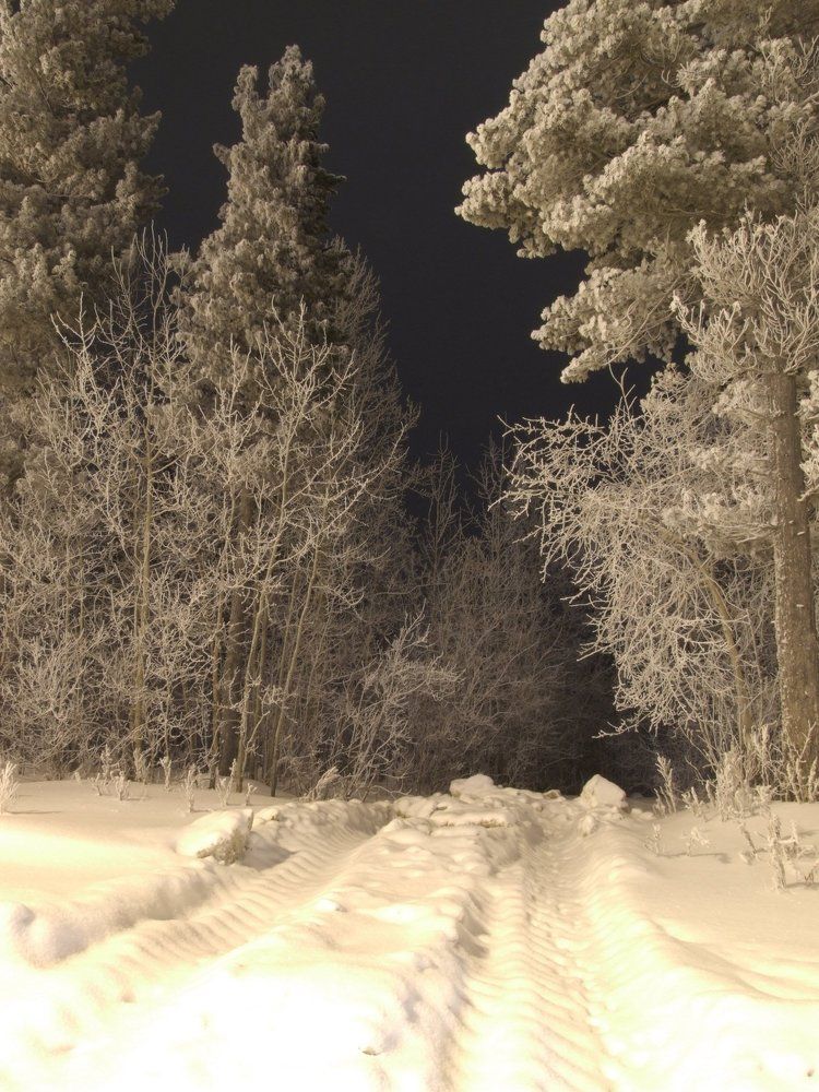 Дебри сказочной тайги