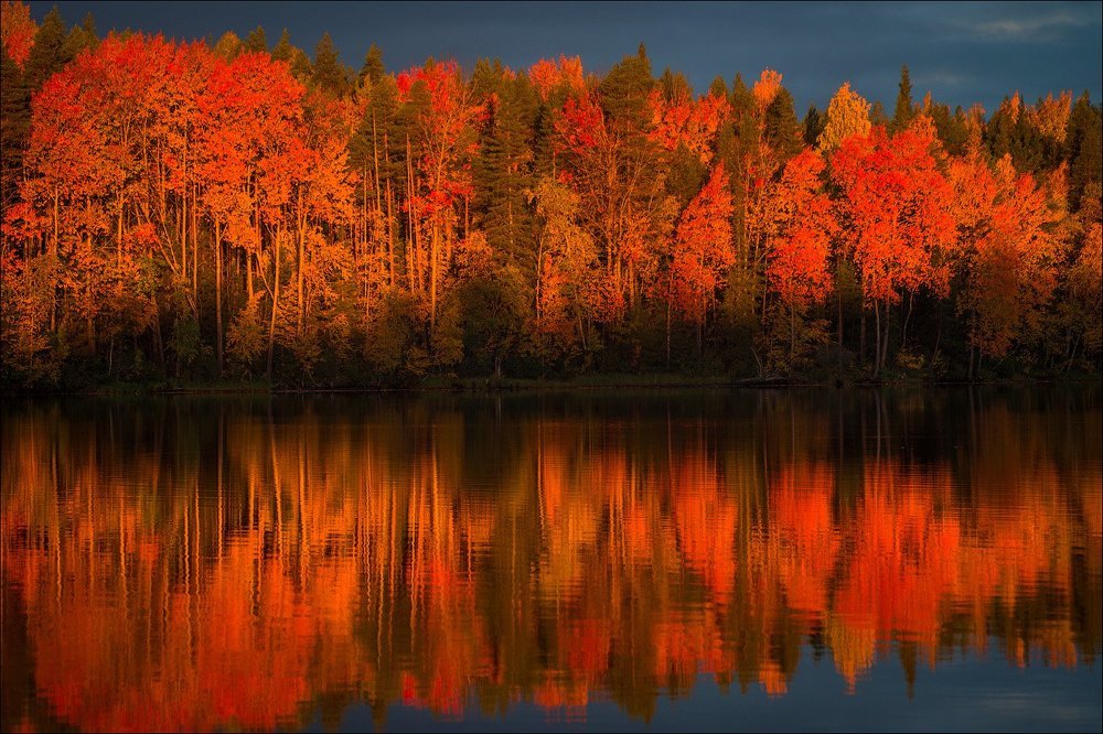 Огненный Карельский пейзаж.