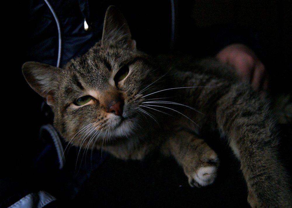 Photograph by ирина