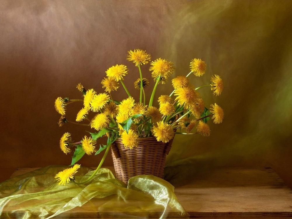 Одуванчики.