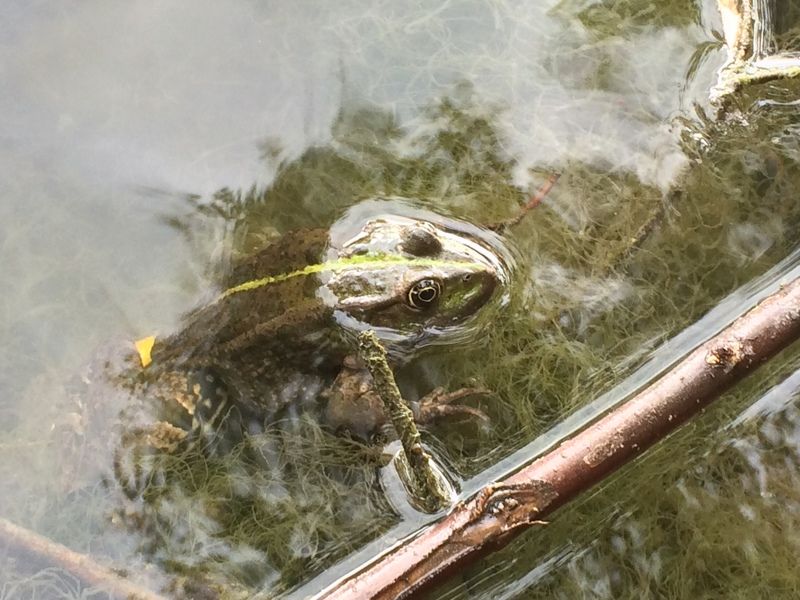 Дмитрий, Ukraine