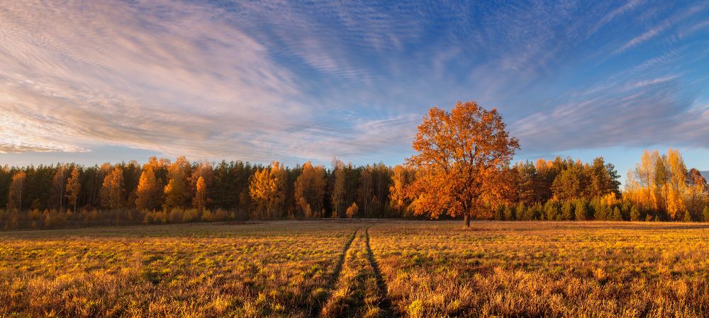 Горящая осень