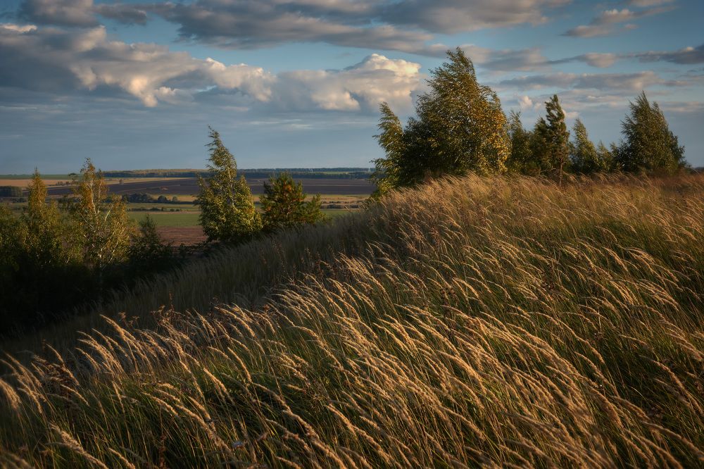 Первые осенние деньки...