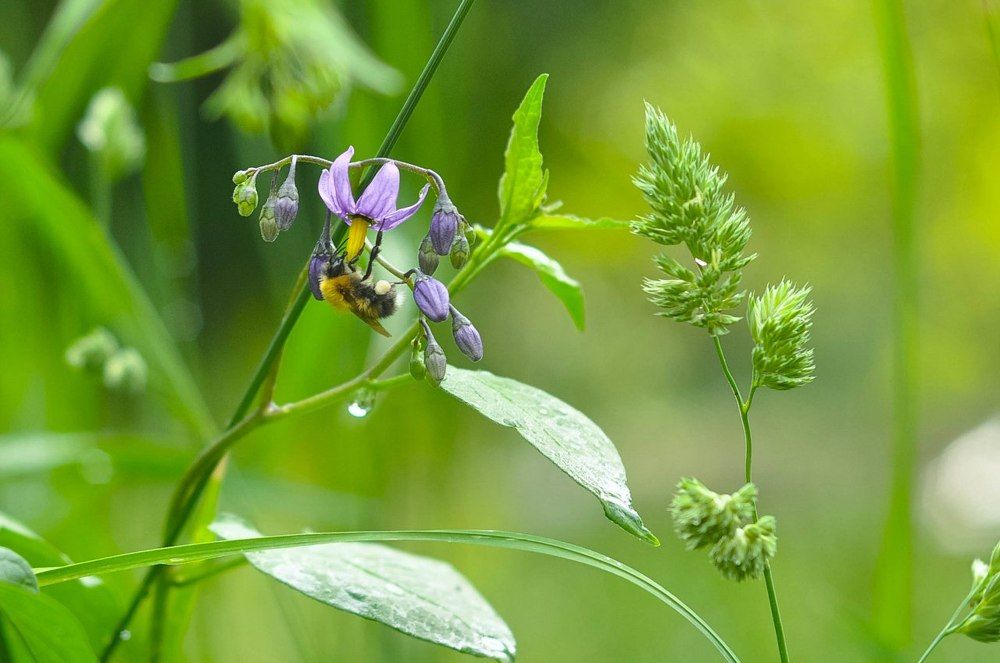 Photograph by Никулина Катерина