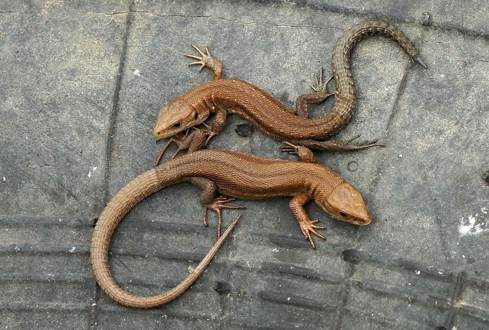 Photograph by Кучерина Галина