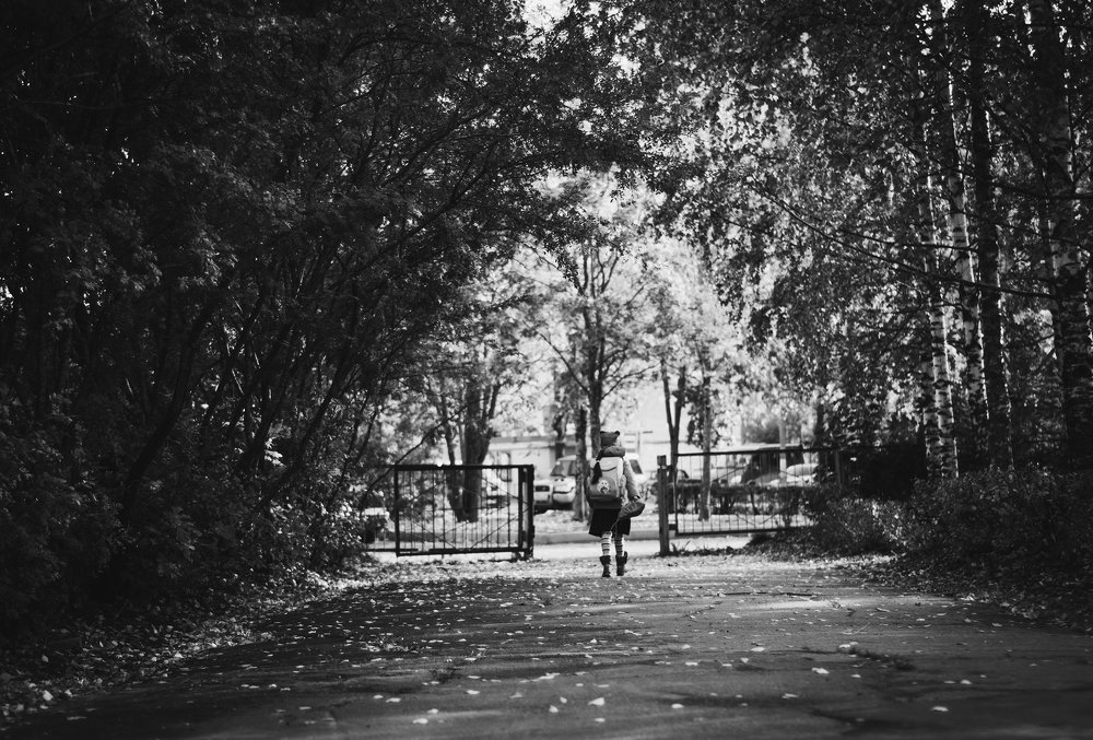 Тернистый путь к знаниям