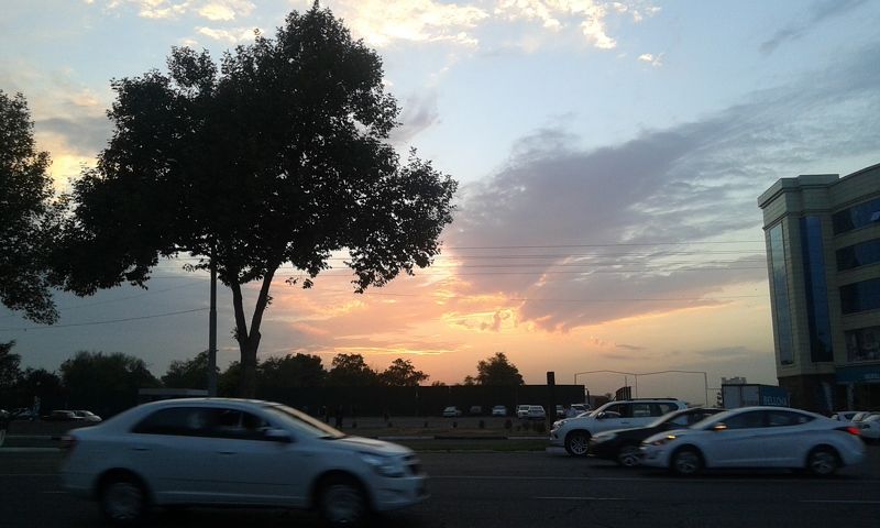 Алиса, Uzbekistan