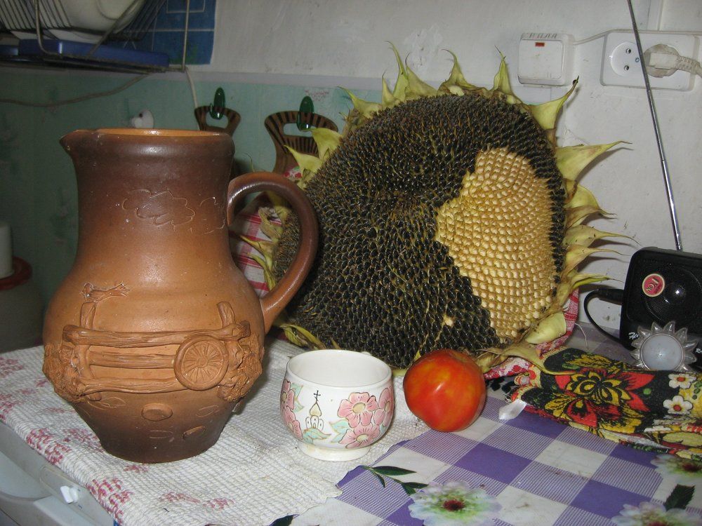 Photograph by Алла СиротинскаяA