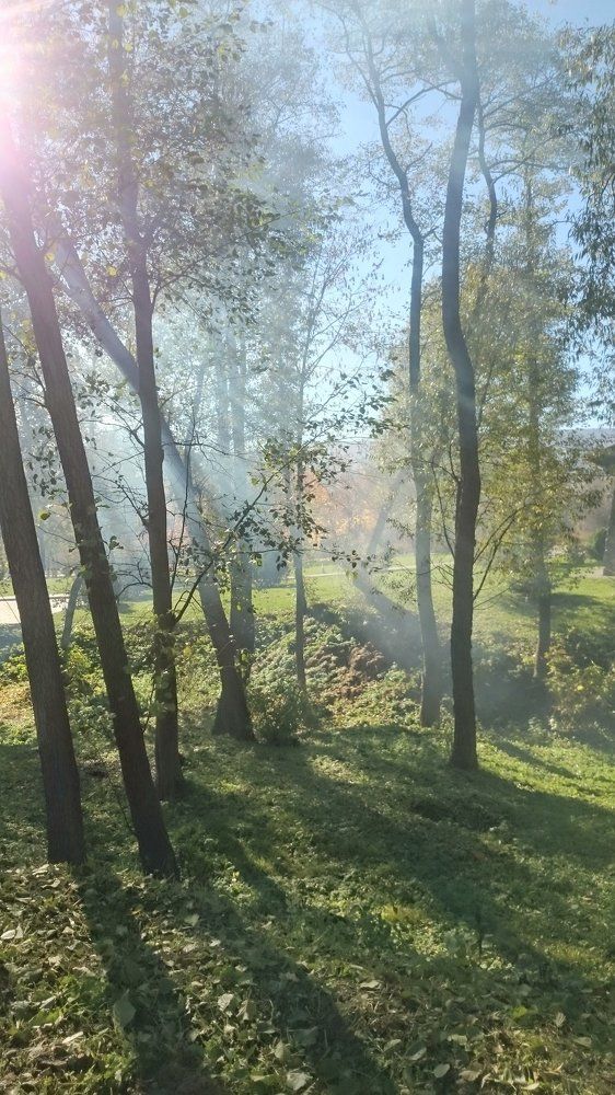 Душевно