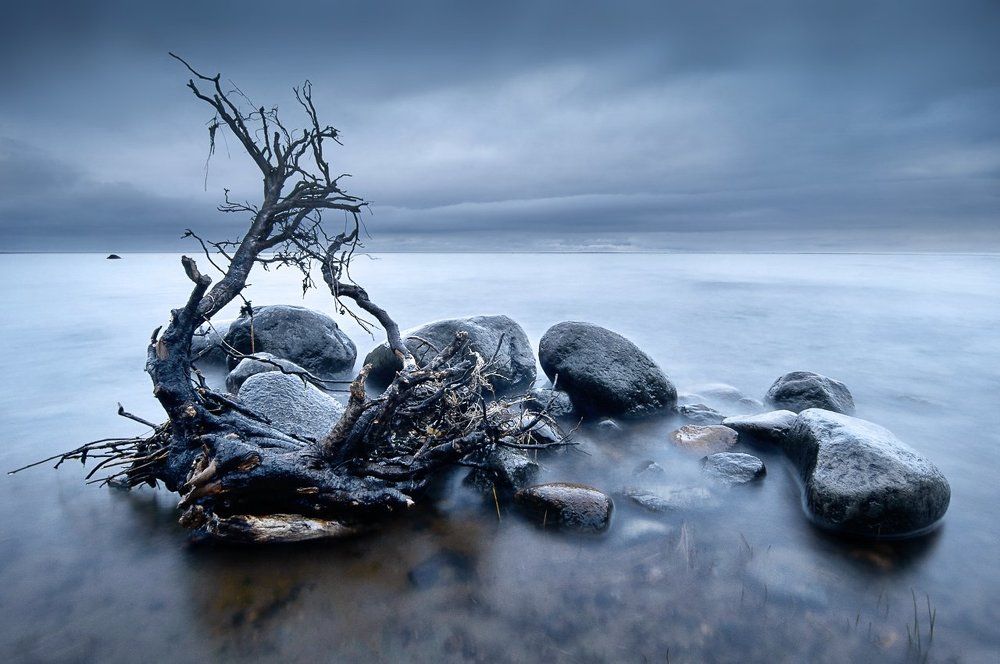 Финский залив.