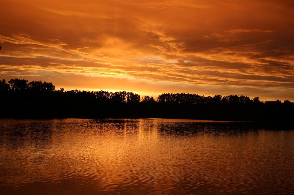 М.О., Коломенский район