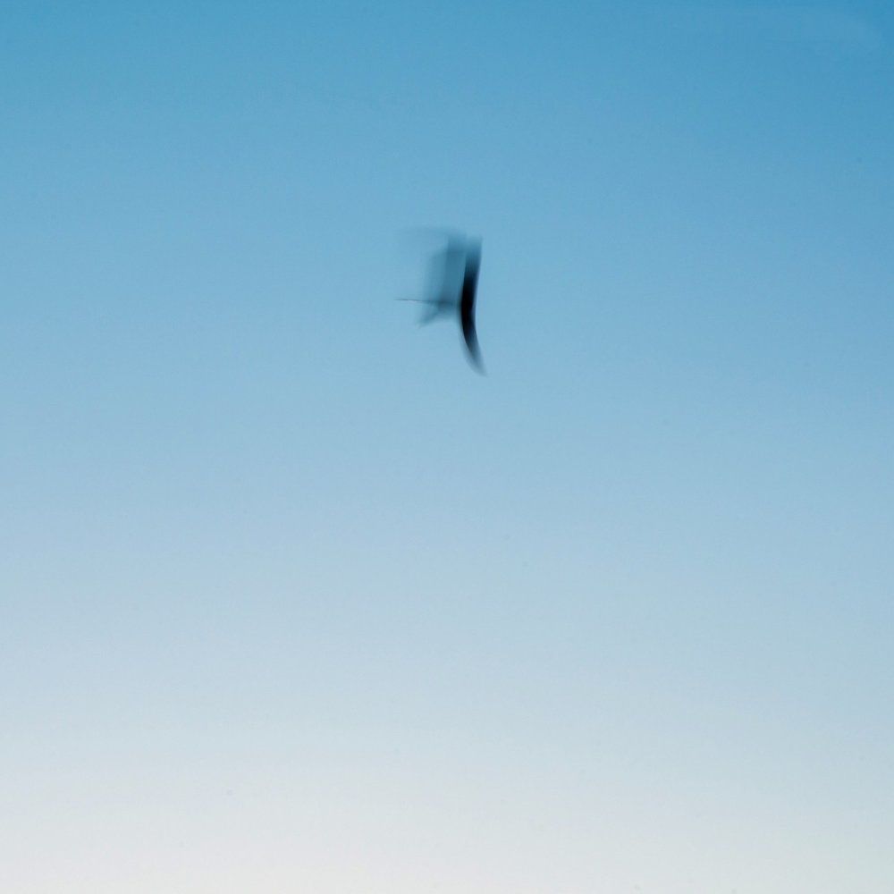 ИЕРОГЛИФЫ ВЕЧНОСТИ