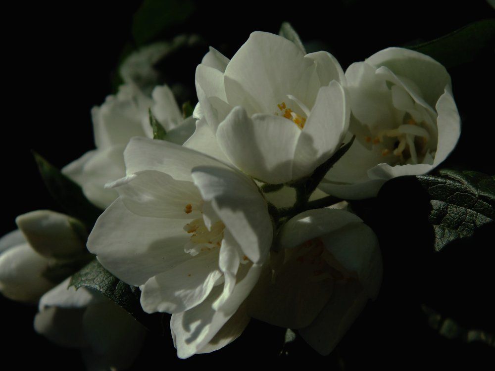 Photograph by Ирина Архипова