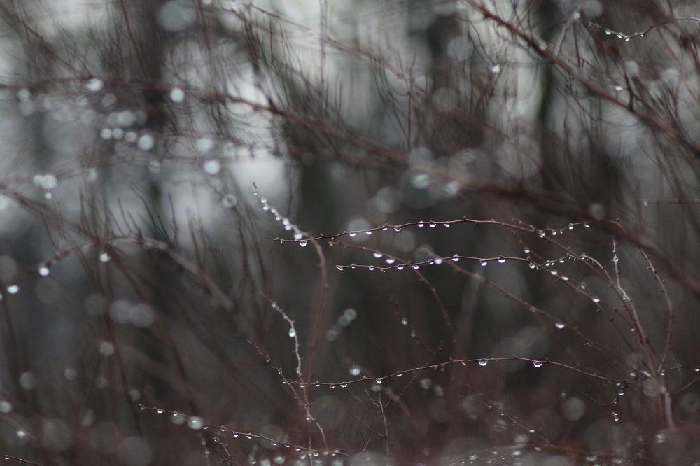 Слёзы зимы.