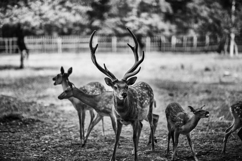 Photograph by Юрий