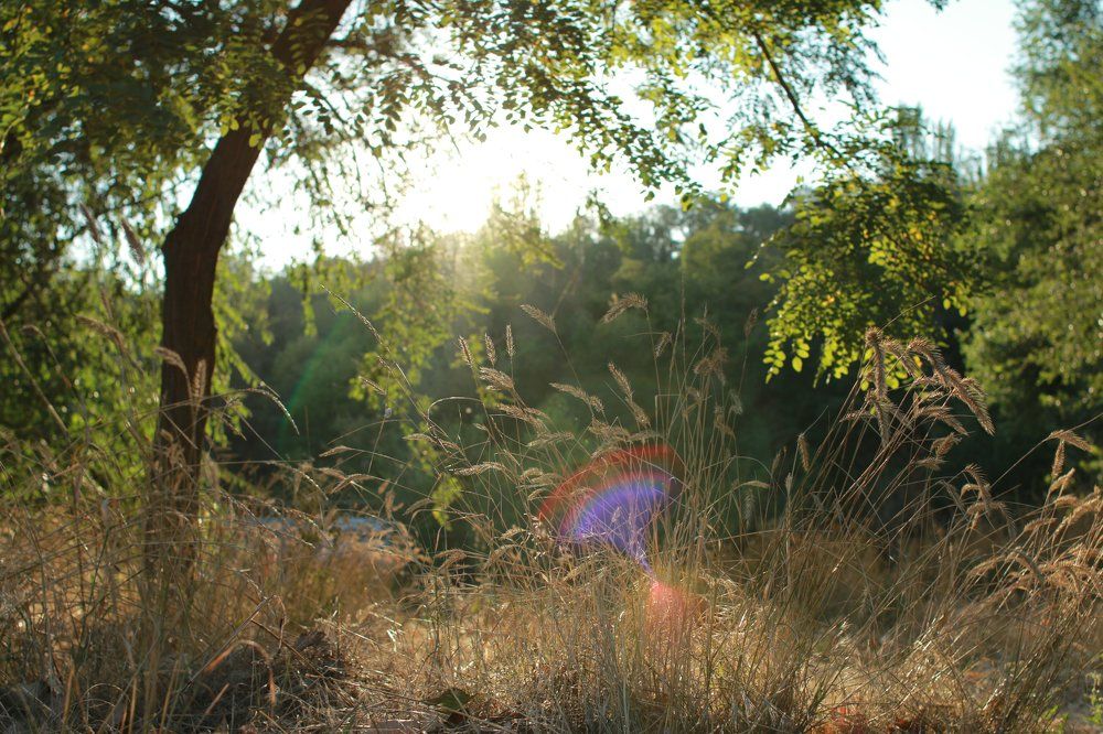 Дыхание солнца.