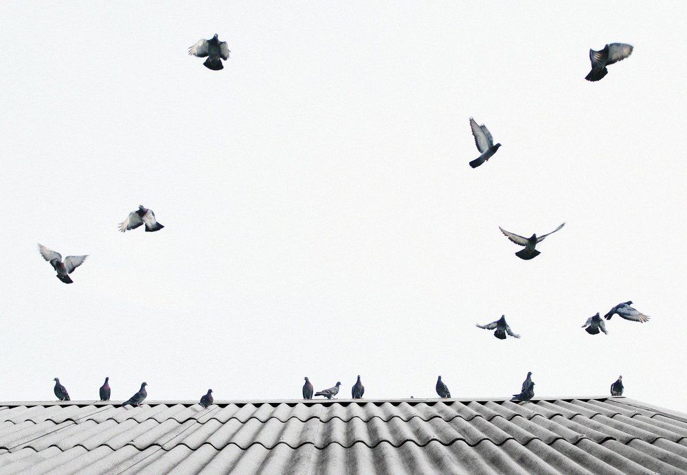 Небесная невесомость