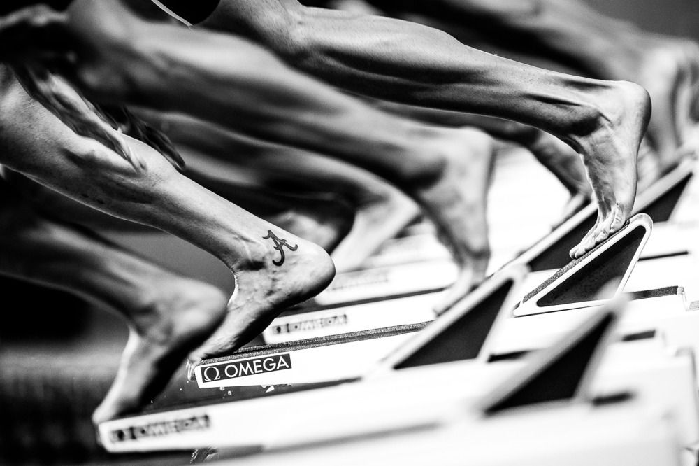 Чемпионат Мира по плаванию FINA 2015 50 метров