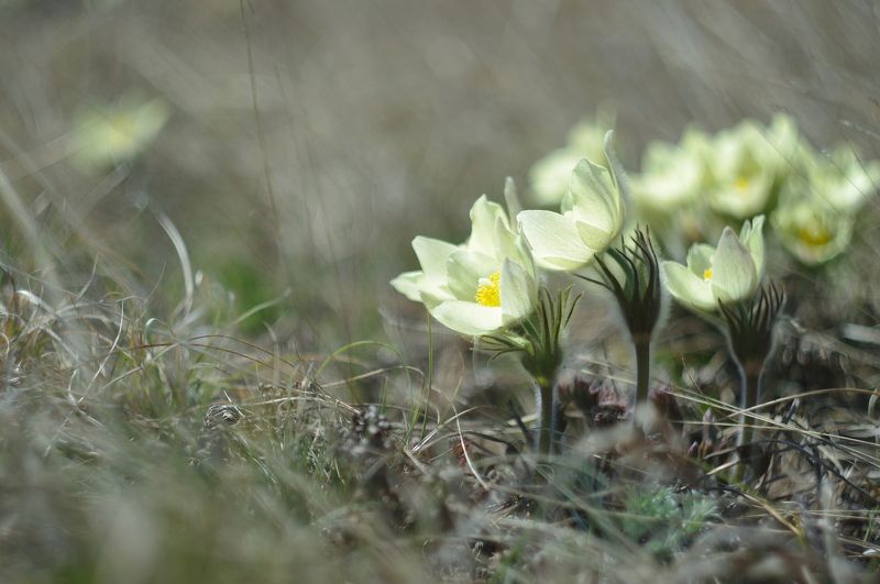 Евгений, Russia