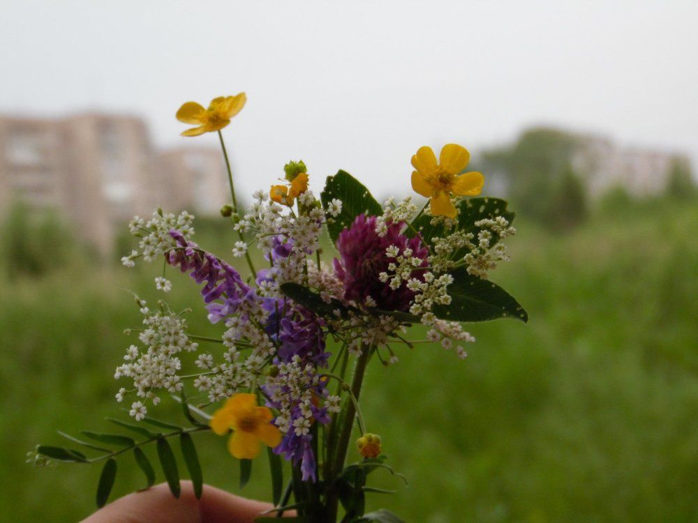 Букетик в городе