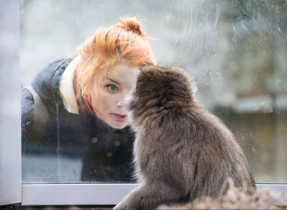 Брат ты мне или не брат...