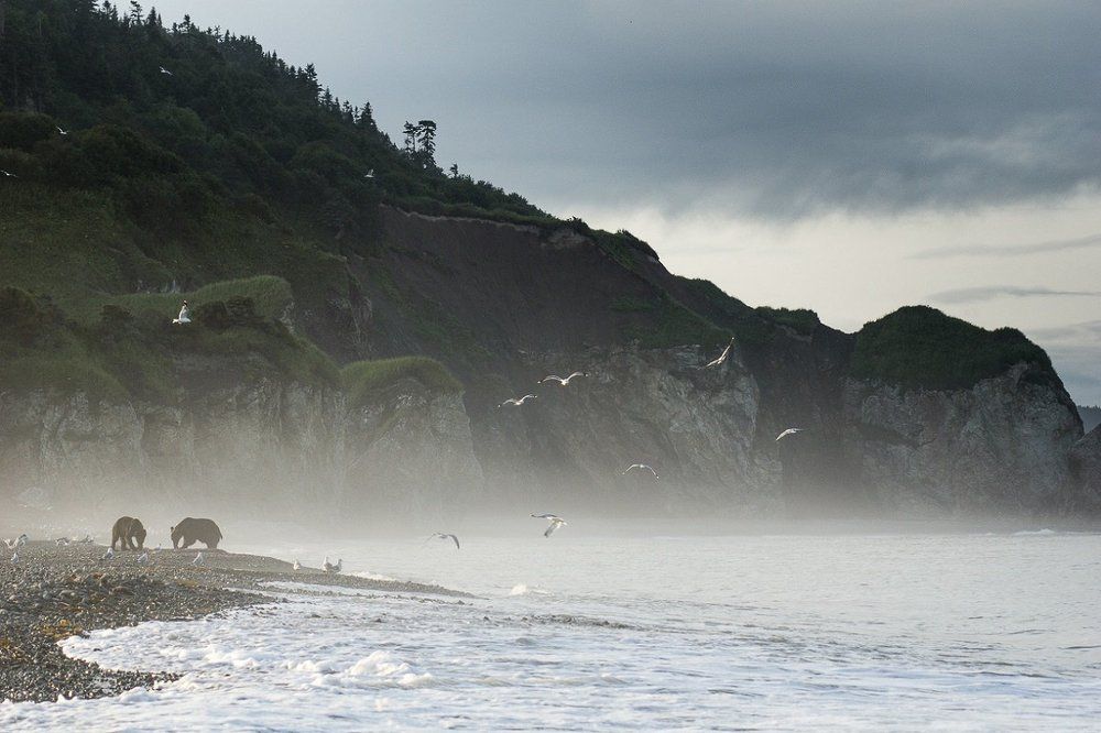 Островная идиллия