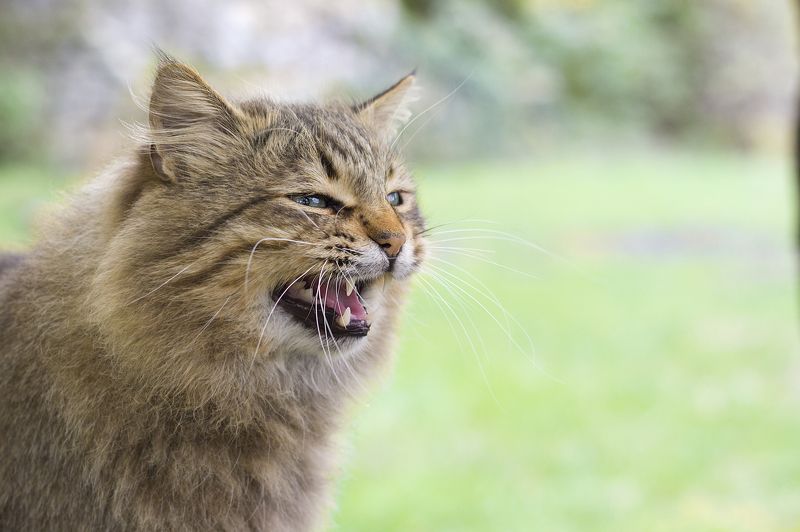 Марина, Russia