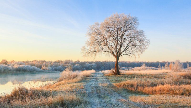Michael Kushner, Belarus