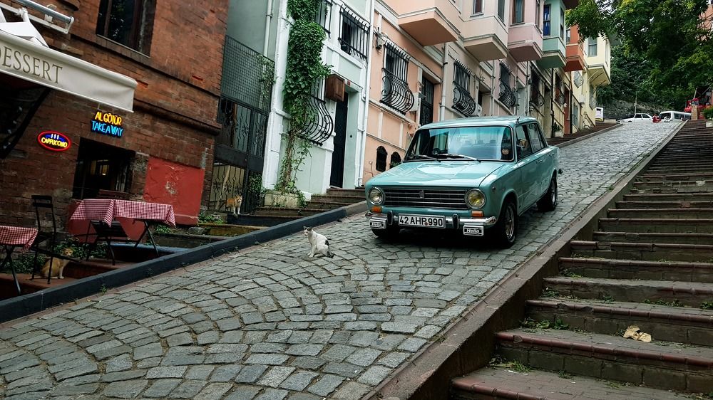 Photograph by Mohammad Mahdi Khojasteh