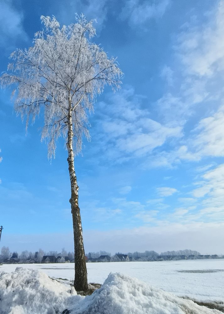 Photograph by Halina Basyanok