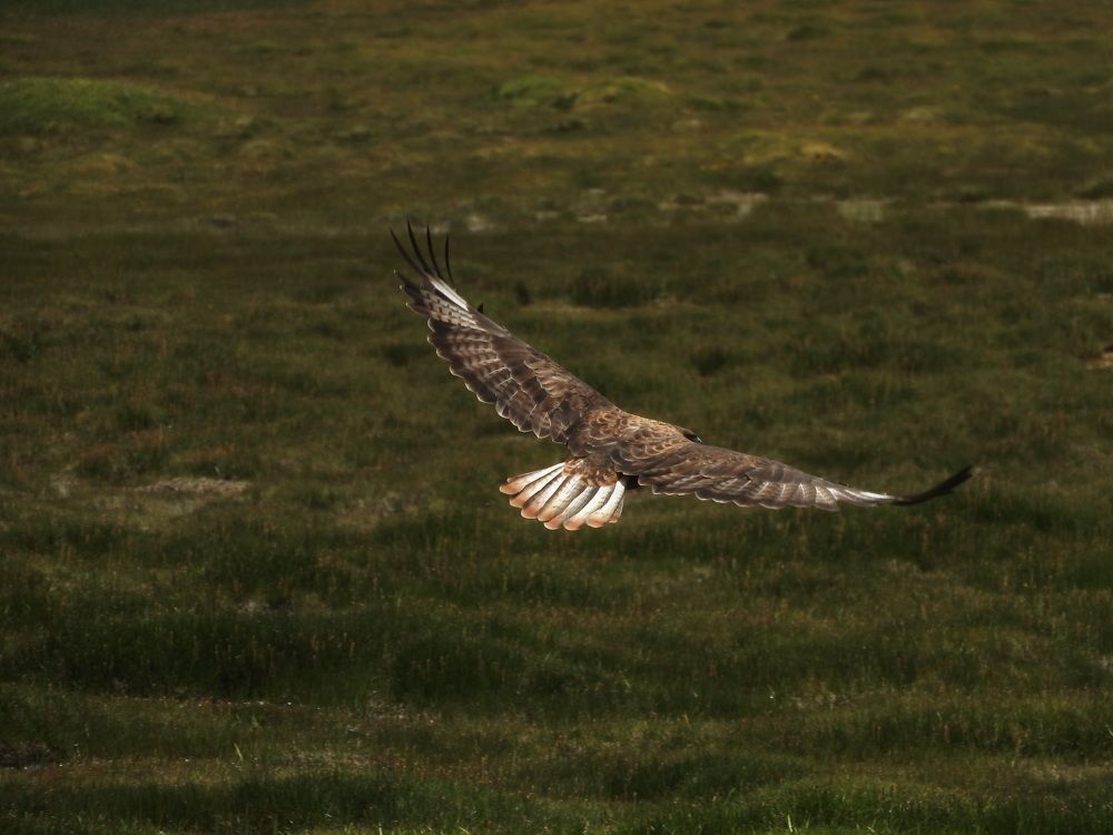 Photo #10200086