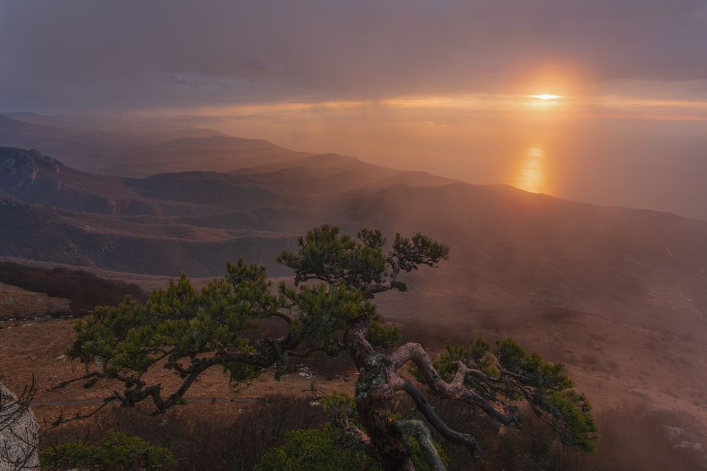 Photograph by Юлия Мальцева