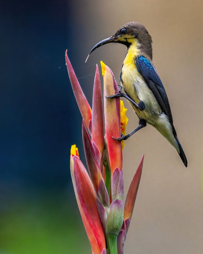 Photograph by NIKHIL PAUL