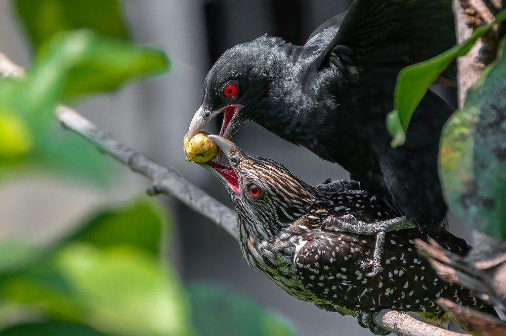 Photograph by NIKHIL PAUL