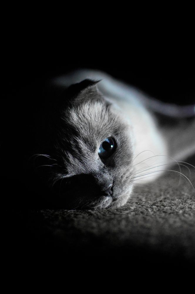 Фотография автора Наталия Шарова