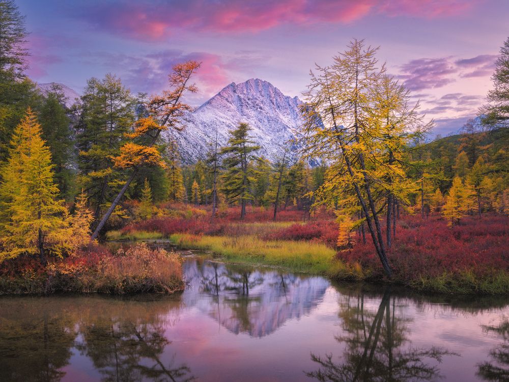 Фотография автора Dmitry Medyancev