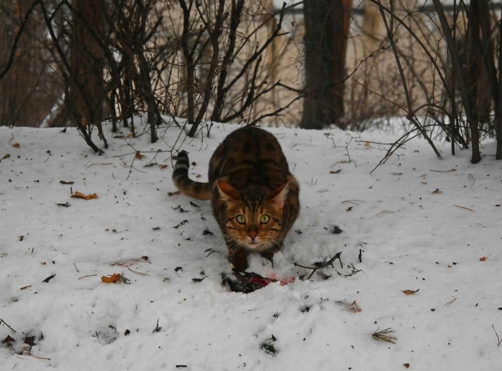 Photograph by Ольга Дерябина