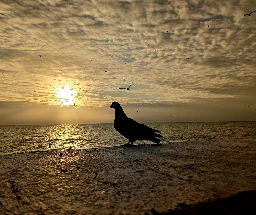 Photograph by Елена Кузнецова